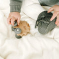 Load image into Gallery viewer, Beechwood Rollin’ Friends - Hedgehog
