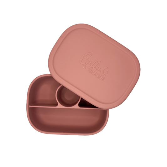 Hayden Bento Box - Petunia Pink